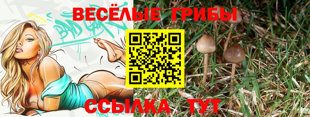 Костомукша  Псилоцибиновые грибы Magic Shrooms  Вход с VPN 